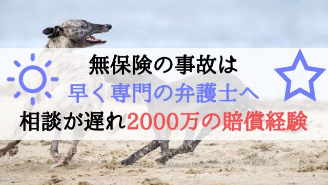 無保険の交通事故から借金3000万サラリーマンへ そこから得られる教訓 Maru Money Com